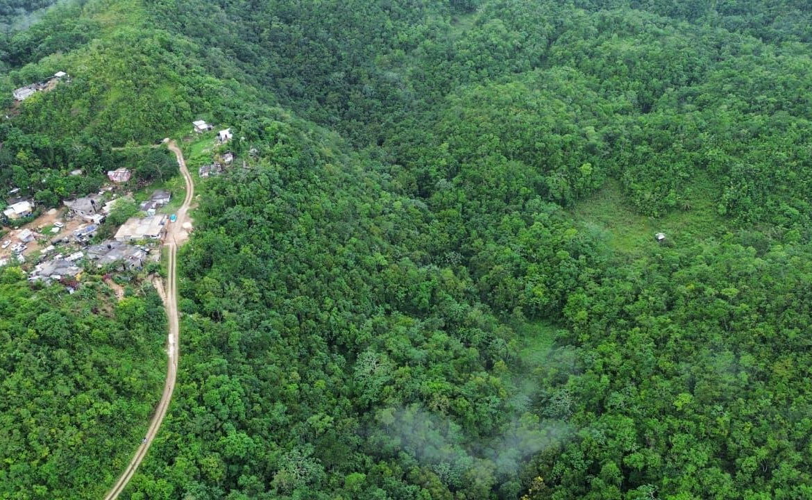 Tenth image of Mount Zion in Red Hills, St. Andrew, Jamaica - property is For Sale
