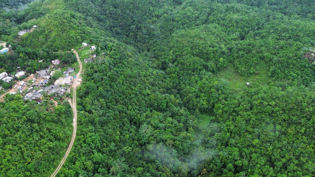 Development-Land-for-Sale-in-Mount-Zion-St.-Andrew-Jamaica-4-Acres Tenth image of Mount Zion in Red Hills, St. Andrew, Jamaica - property is For Sale