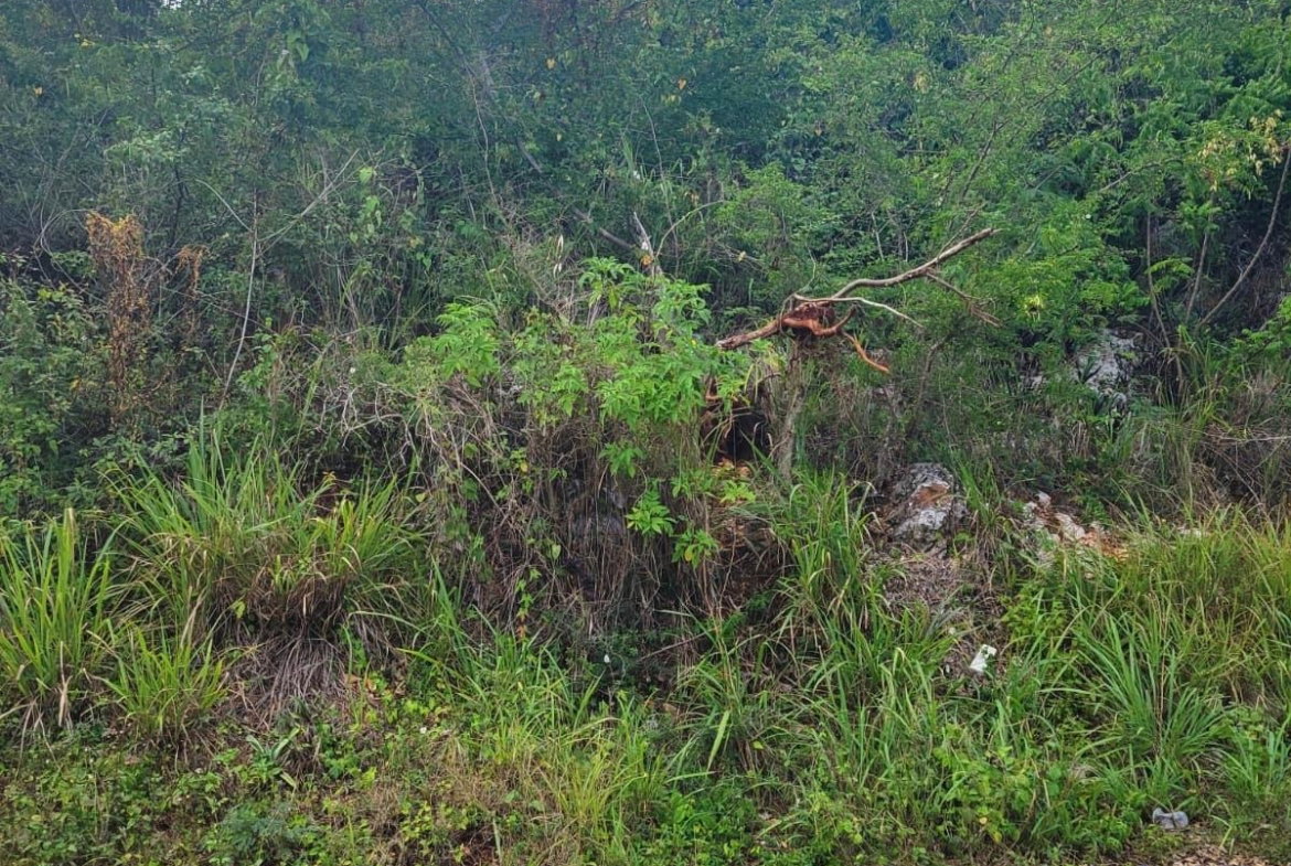 Second image of Garnet Avenue, Golden Acr in Red Hills, St. Andrew, Jamaica - property is For Sale