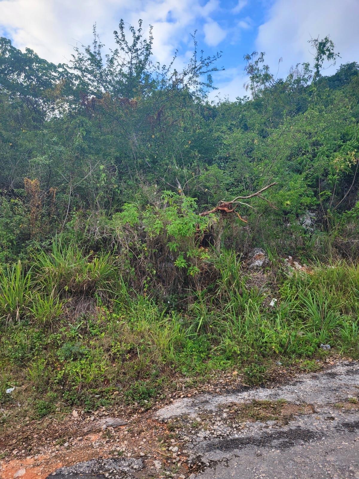 Second image of Garnet Avenue, Golden Acr in Red Hills, St. Andrew, Jamaica - property is For Sale