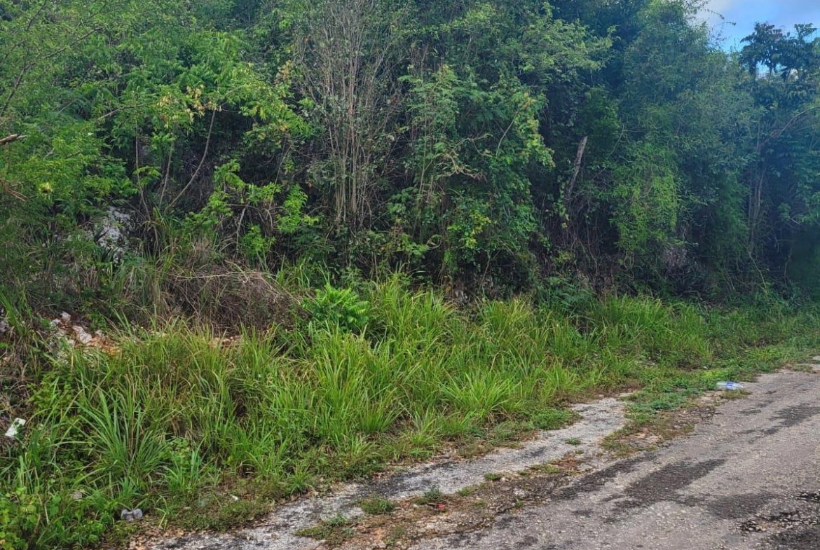 Third image of Garnet Avenue, Golden Acr in Red Hills, St. Andrew, Jamaica - property is For Sale