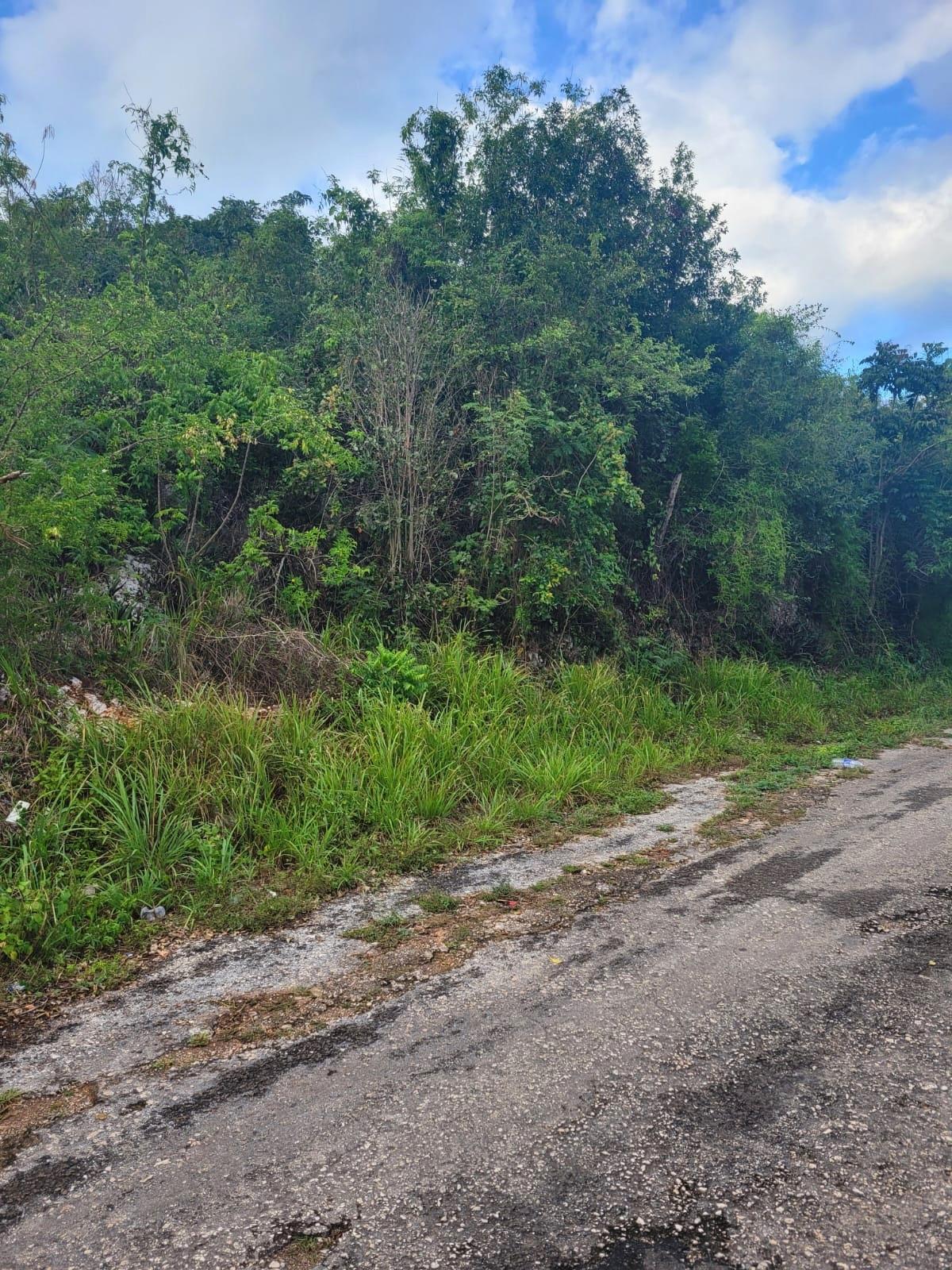 Third image of Garnet Avenue, Golden Acr in Red Hills, St. Andrew, Jamaica - property is For Sale