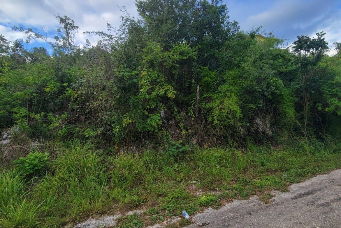 Fifth image of Garnet Avenue, Golden Acr in Red Hills, St. Andrew, Jamaica - property is For Sale