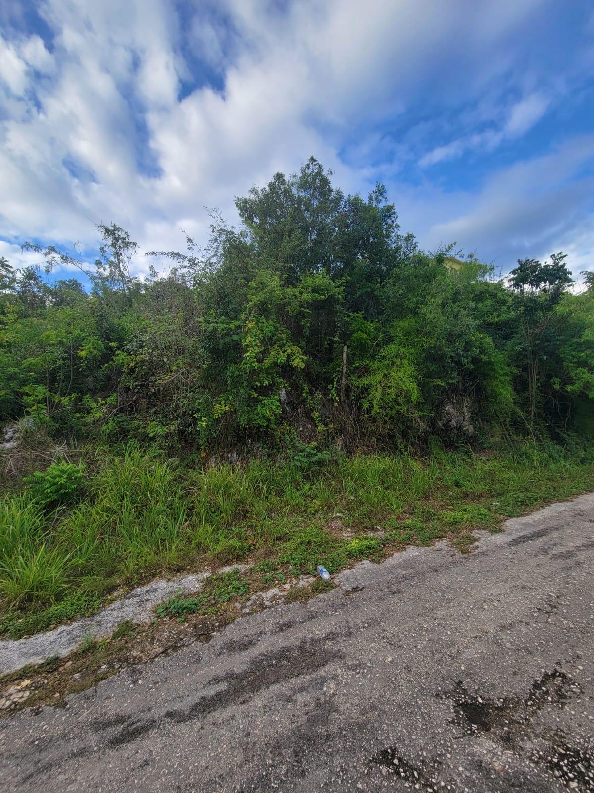 Fifth image of Garnet Avenue, Golden Acr in Red Hills, St. Andrew, Jamaica - property is For Sale