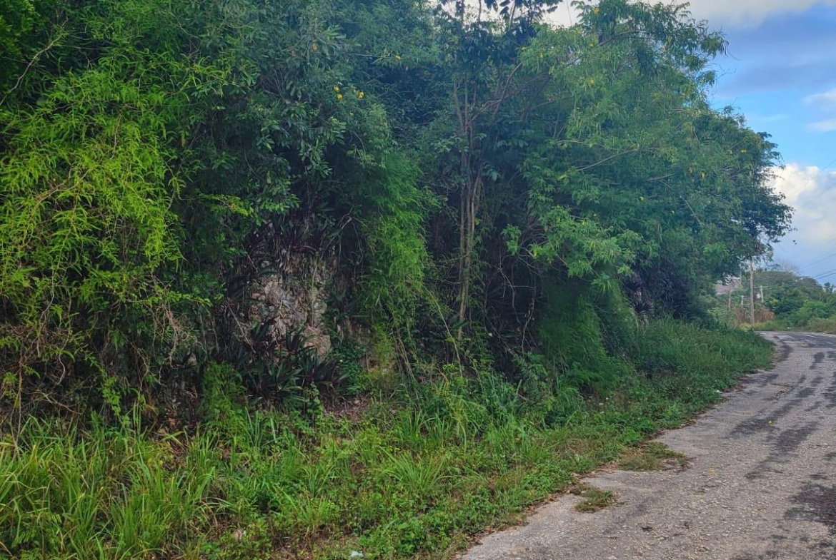 Sixth image of Garnet Avenue, Golden Acr in Red Hills, St. Andrew, Jamaica - property is For Sale