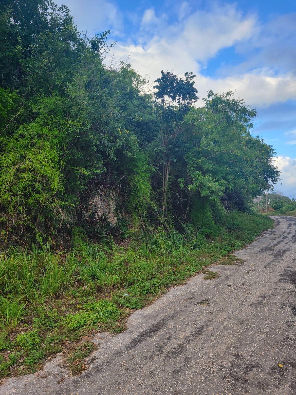 Sixth image of Garnet Avenue, Golden Acr in Red Hills, St. Andrew, Jamaica - property is For Sale