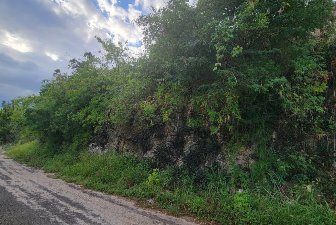 Seventh image of Garnet Avenue, Golden Acr in Red Hills, St. Andrew, Jamaica - property is For Sale