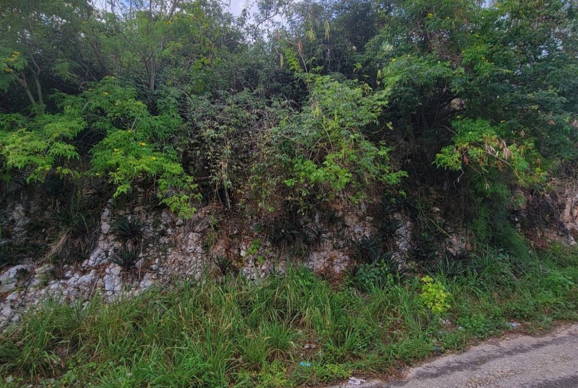 Eighth image of Garnet Avenue, Golden Acr in Red Hills, St. Andrew, Jamaica - property is For Sale
