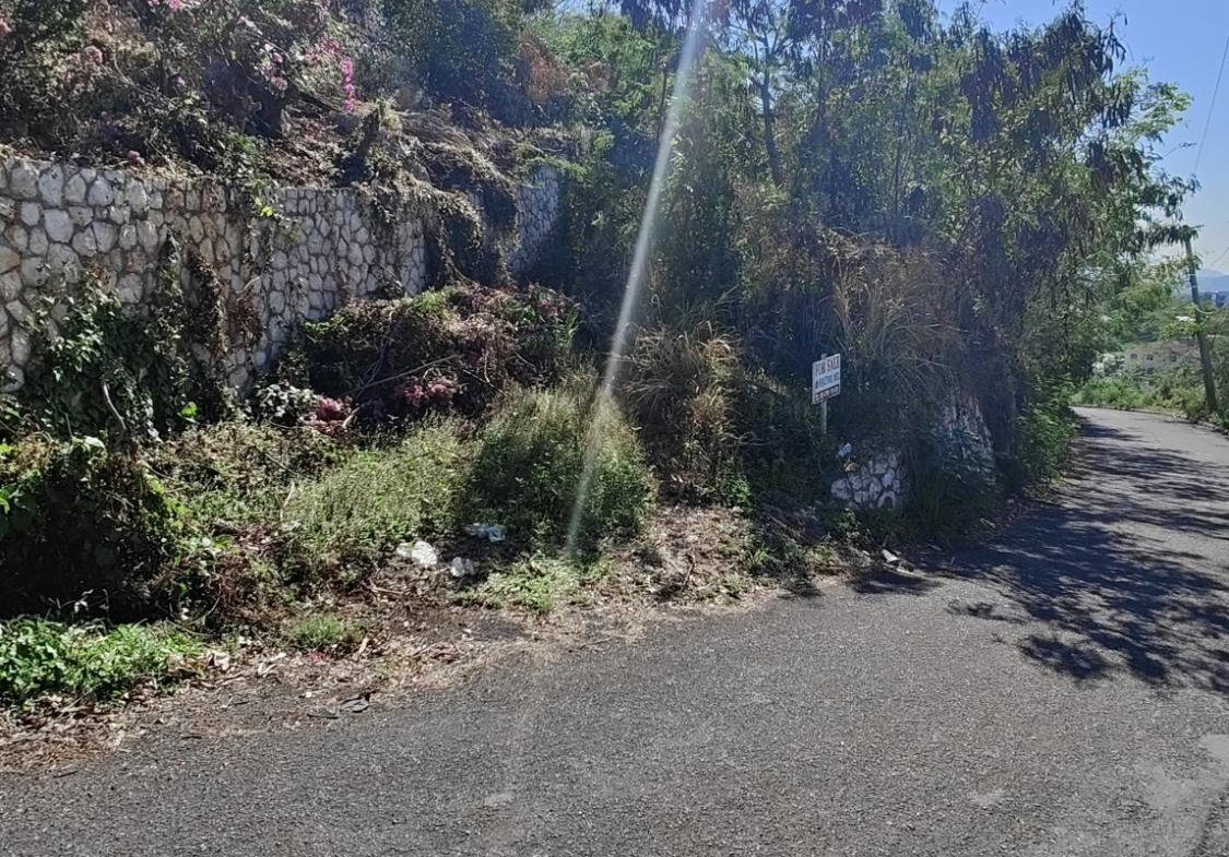 Third image of 8b West Armour Heights in Constant Spring P.O., St. Andrew, Jamaica - property is For Sale