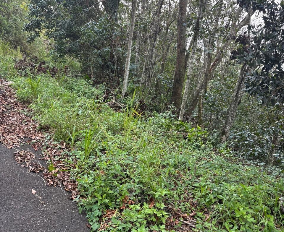 Fifth image of Lot 33-34 Shoucair Circle in Kingston 19, St. Andrew, Jamaica - property is For Sale