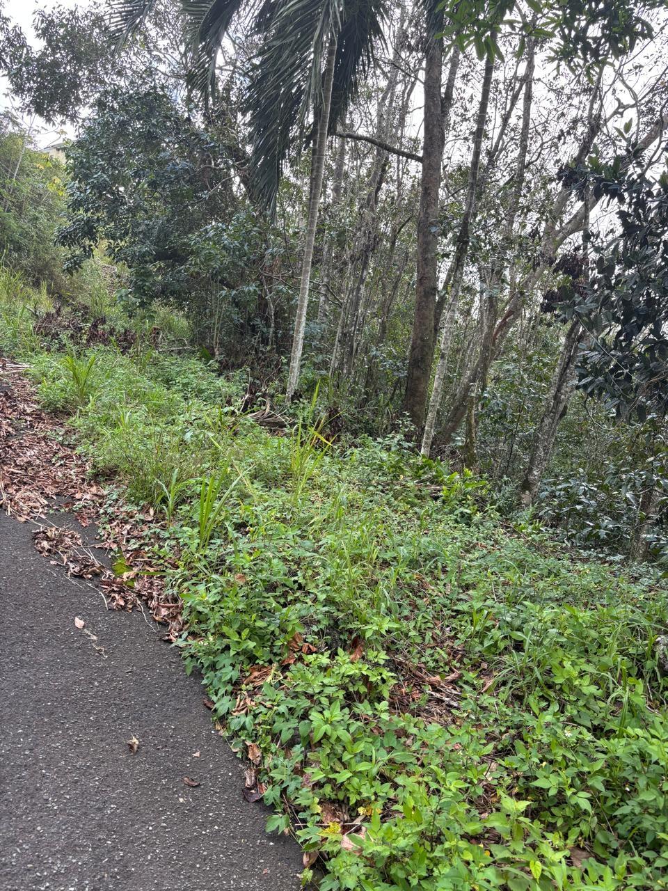 Fifth image of Lot 33-34 Shoucair Circle in Kingston 19, St. Andrew, Jamaica - property is For Sale