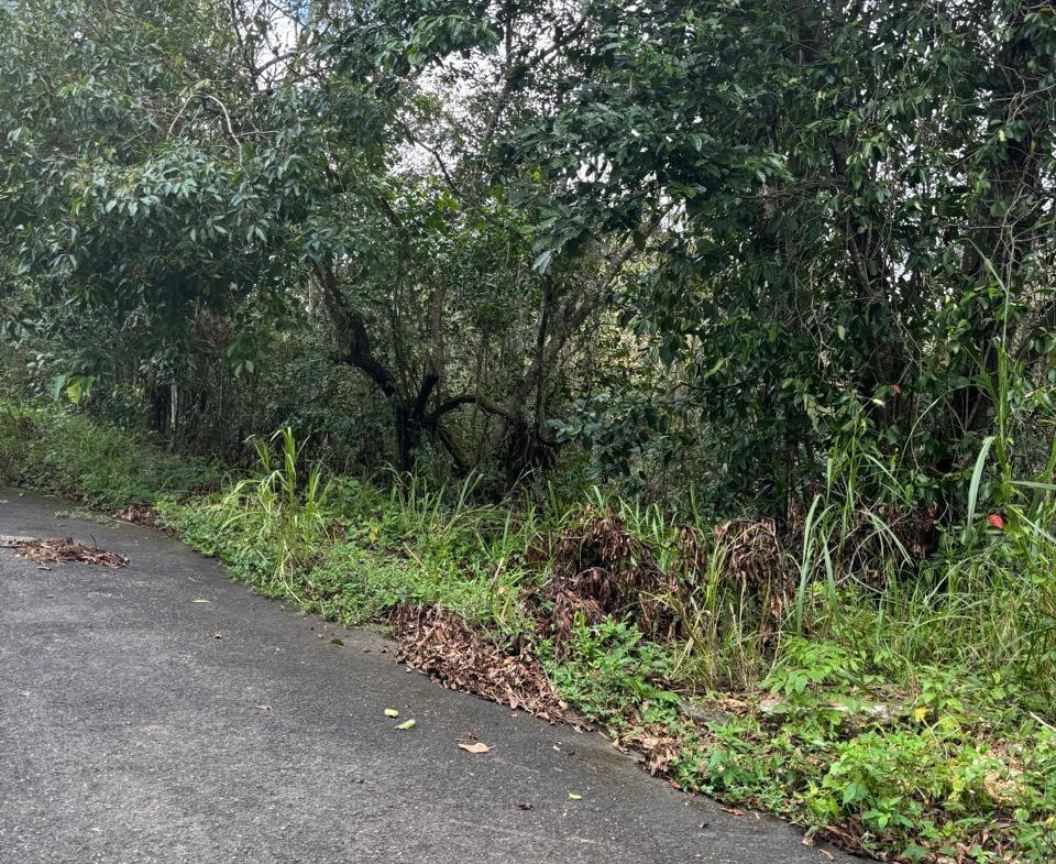 Sixth image of Lot 33-34 Shoucair Circle in Kingston 19, St. Andrew, Jamaica - property is For Sale