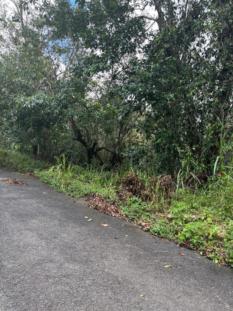 Sixth image of Lot 33-34 Shoucair Circle in Kingston 19, St. Andrew, Jamaica - property is For Sale