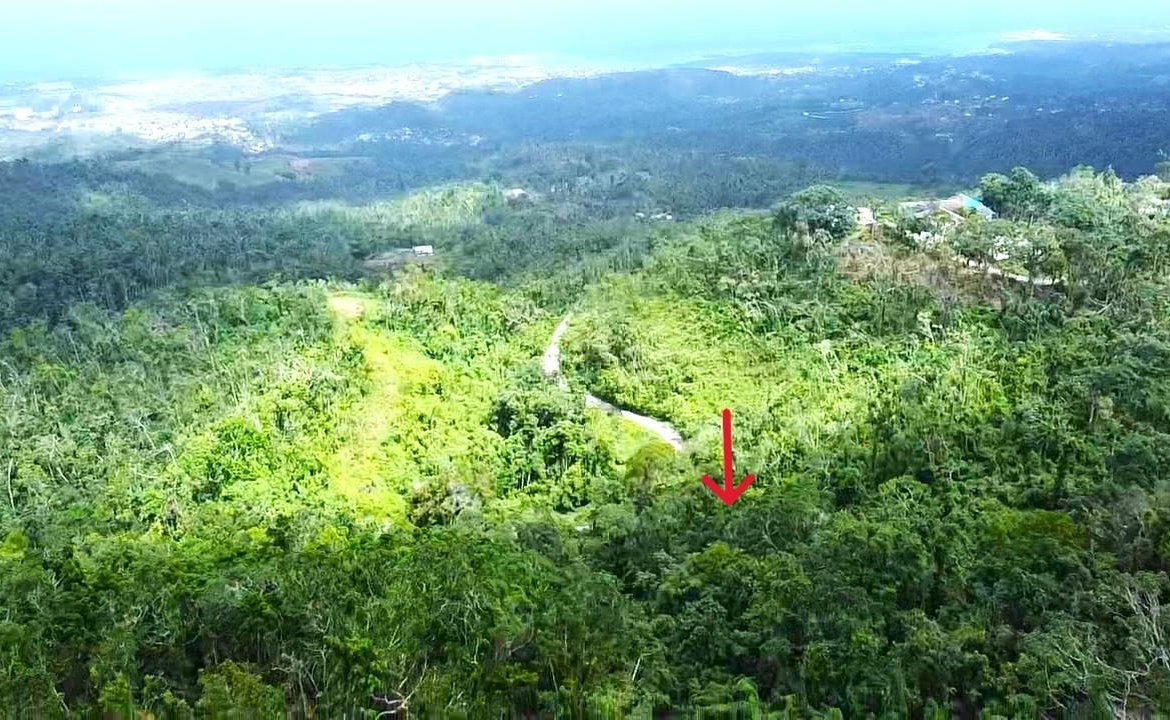 Third image of Wakefield, st Ann in Bamboo, St. Ann, Jamaica - property is For Sale