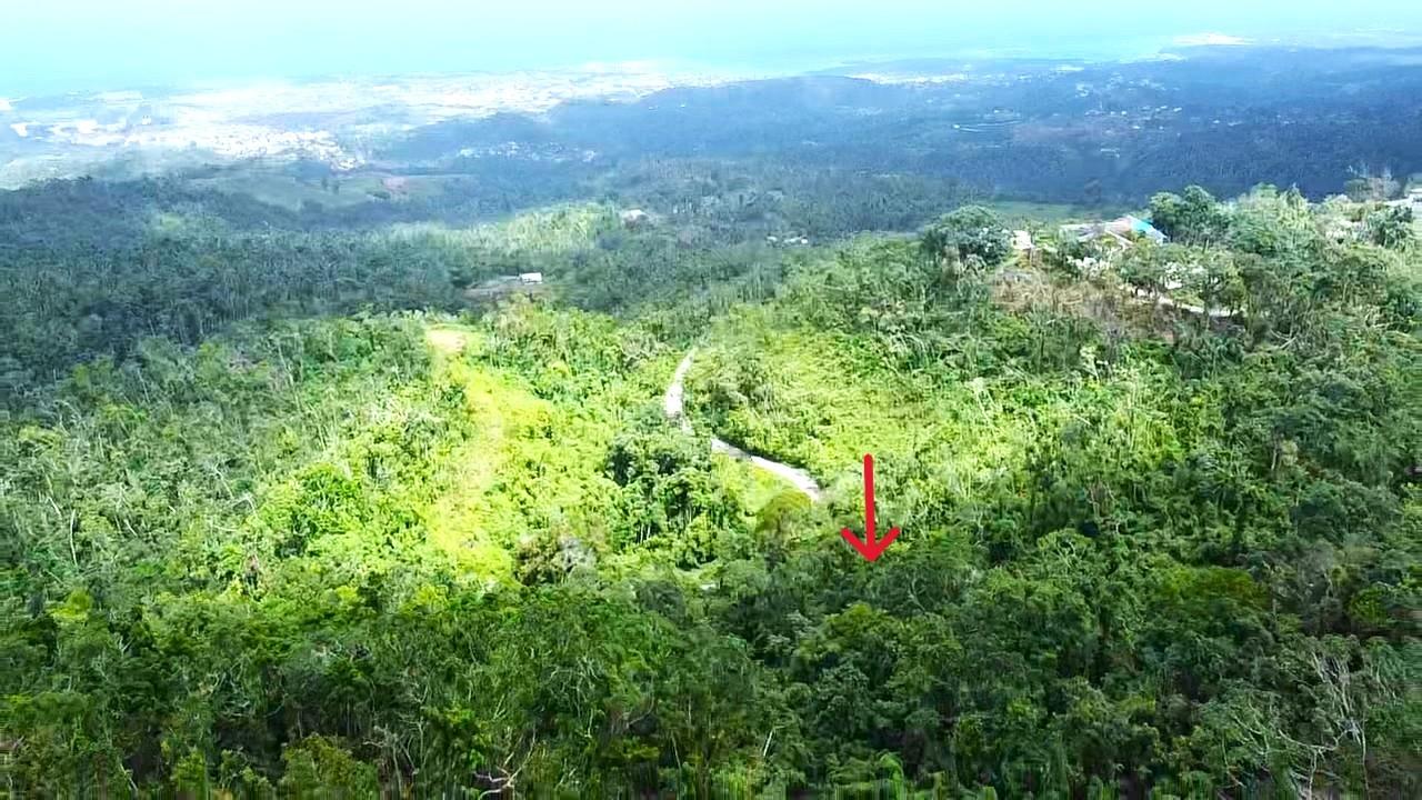 Development-Land-for-Sale-in-Wakefield-St.-Ann-Jamaica-Free-Hill-Upward-Sloping-Parcel Third image of Wakefield, st Ann in Bamboo, St. Ann, Jamaica - property is For Sale