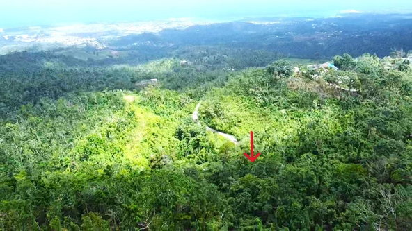 Third image of Wakefield, st Ann in Bamboo, St. Ann, Jamaica - property is For Sale