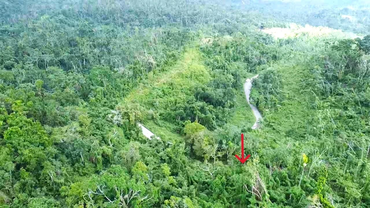 Development-Land-for-Sale-in-Wakefield-St.-Ann-Jamaica-Free-Hill-Upward-Sloping-Parcel Sixth image of Wakefield, st Ann in Bamboo, St. Ann, Jamaica - property is For Sale