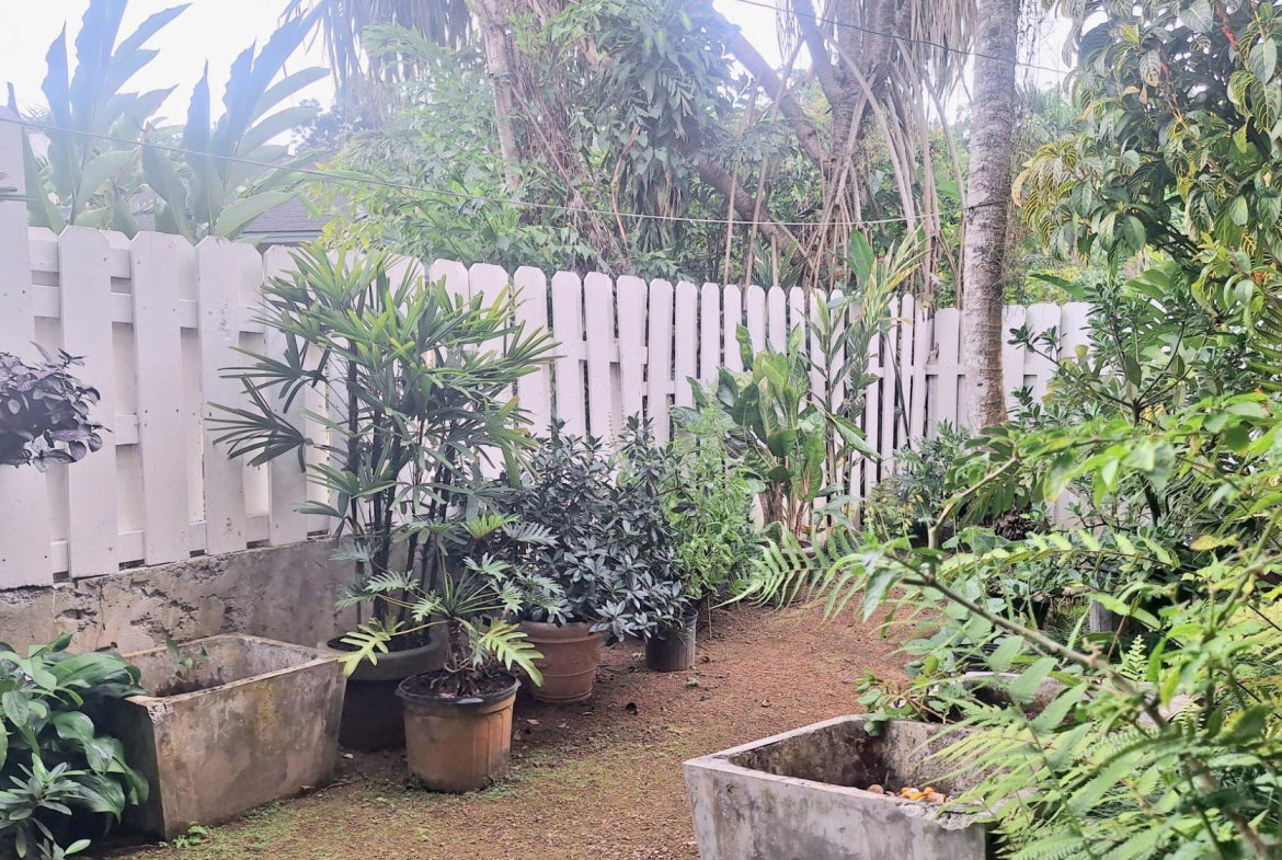 Eighteenth image of 3- Palm Valley in Kingston 9, St. Andrew, Jamaica - property is For Sale