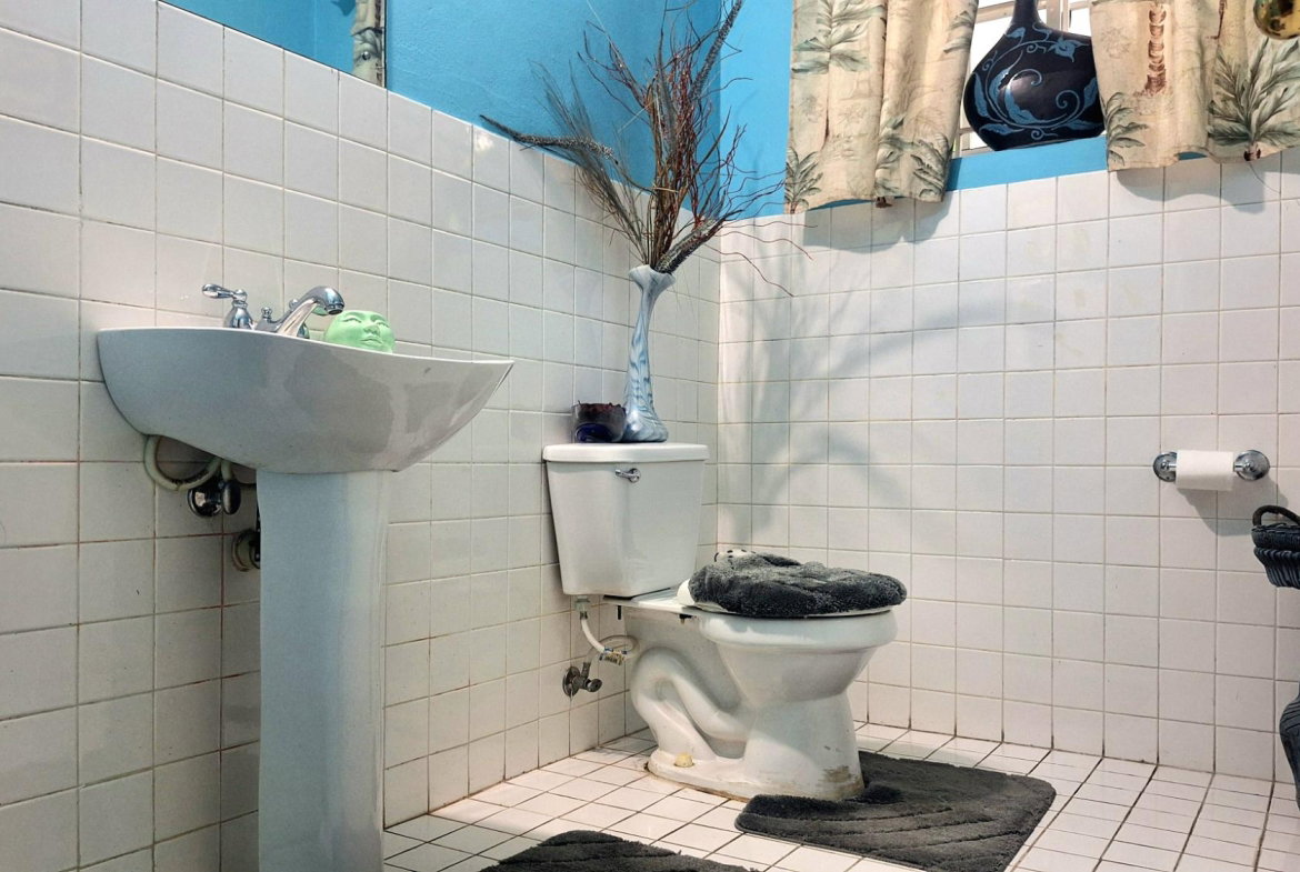 Nineteenth image of 3- Palm Valley in Kingston 9, St. Andrew, Jamaica - property is For Sale