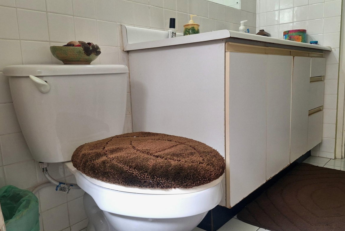 Twenty-Fifth image of 3- Palm Valley in Kingston 9, St. Andrew, Jamaica - property is For Sale