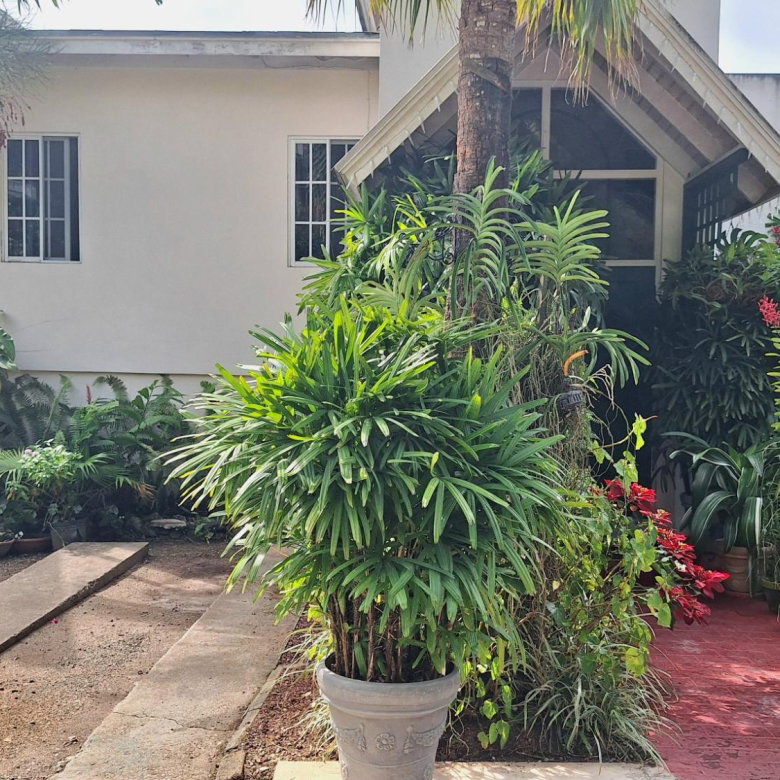 First image of 3- Palm Valley in Kingston 9, St. Andrew, Jamaica - property is For Sale