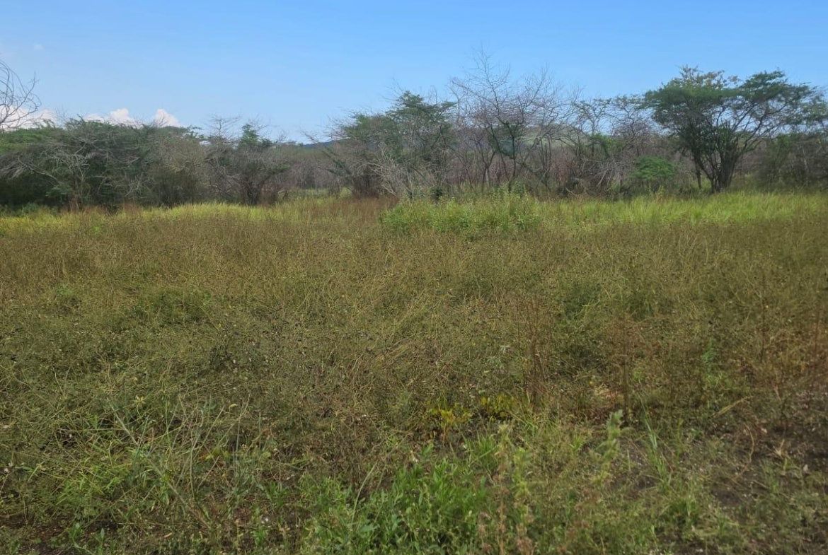 Second image of Lot 160- Creek Street, Hartlands, in Hartlands, St. Catherine, Jamaica - property is For Sale