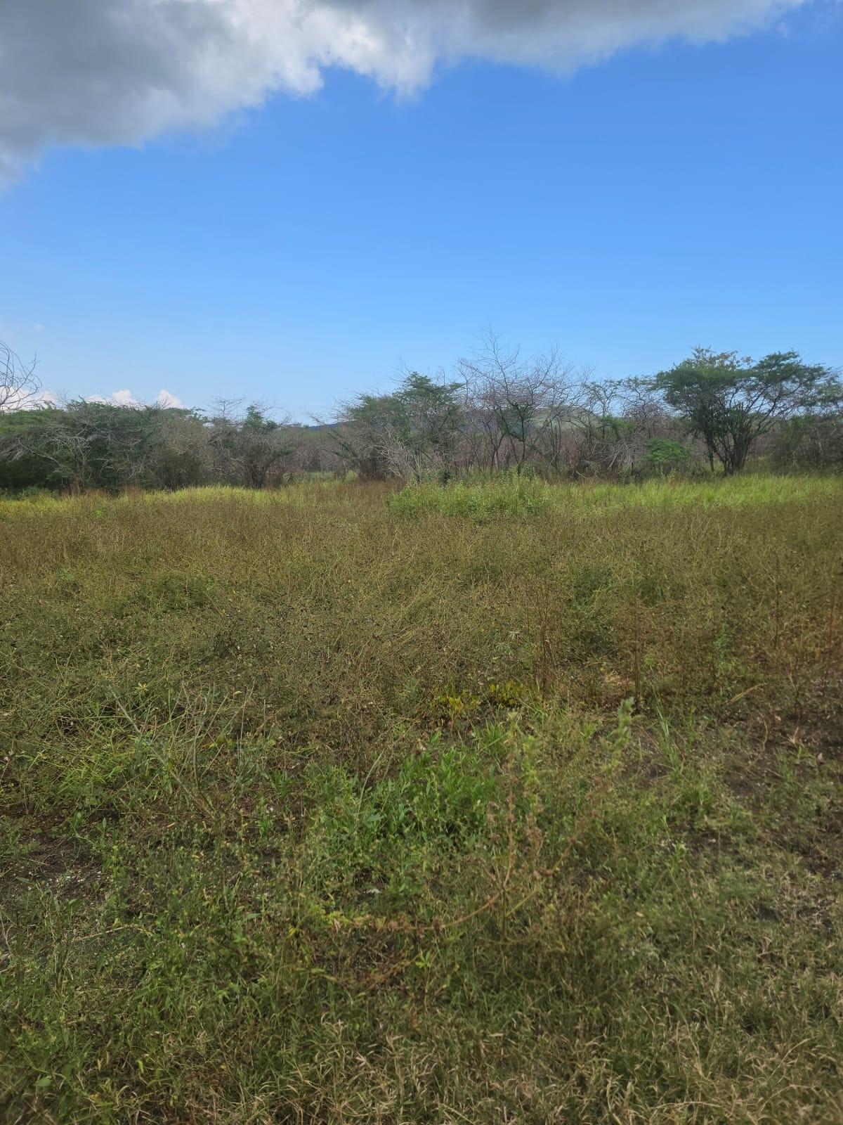 Second image of Lot 160- Creek Street, Hartlands, in Hartlands, St. Catherine, Jamaica - property is For Sale
