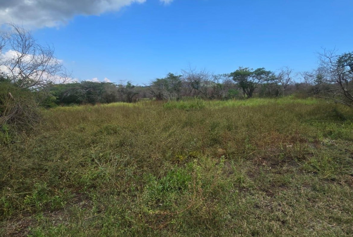 First image of Lot 160- Creek Street, Hartlands, in Hartlands, St. Catherine, Jamaica - property is For Sale