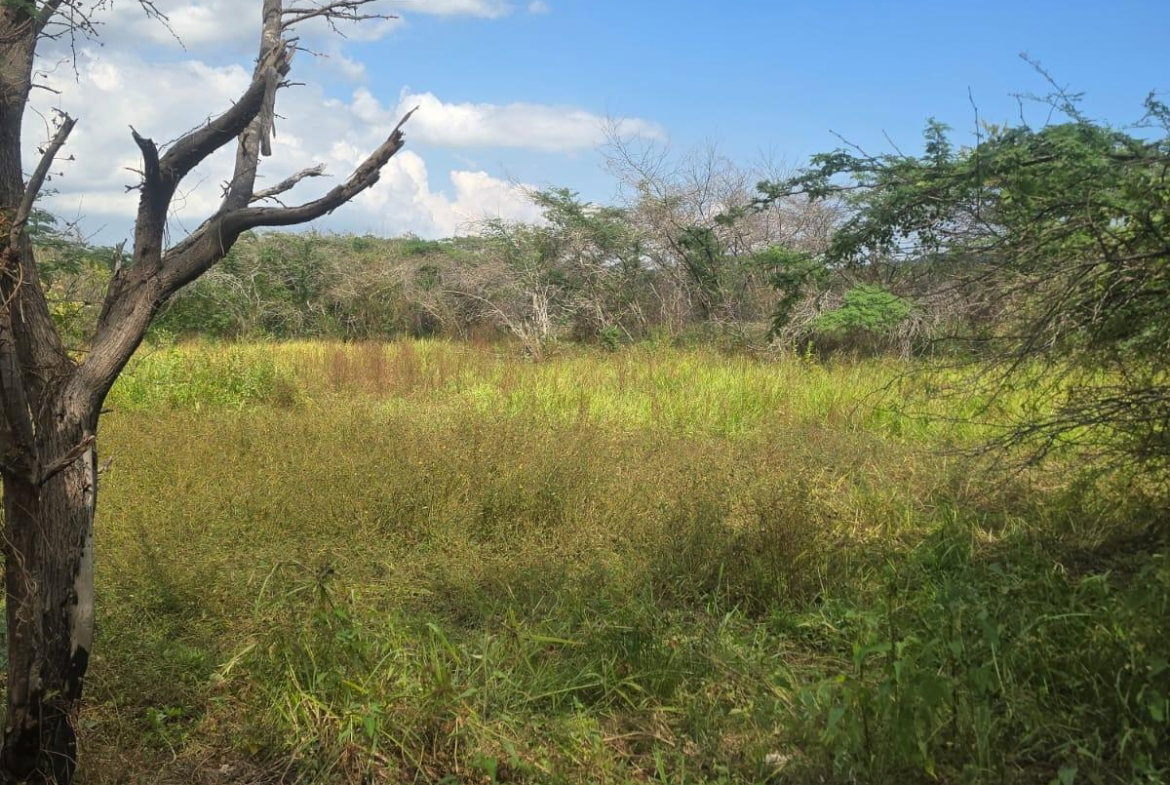 Third image of Lot 160- Creek Street, Hartlands, in Hartlands, St. Catherine, Jamaica - property is For Sale