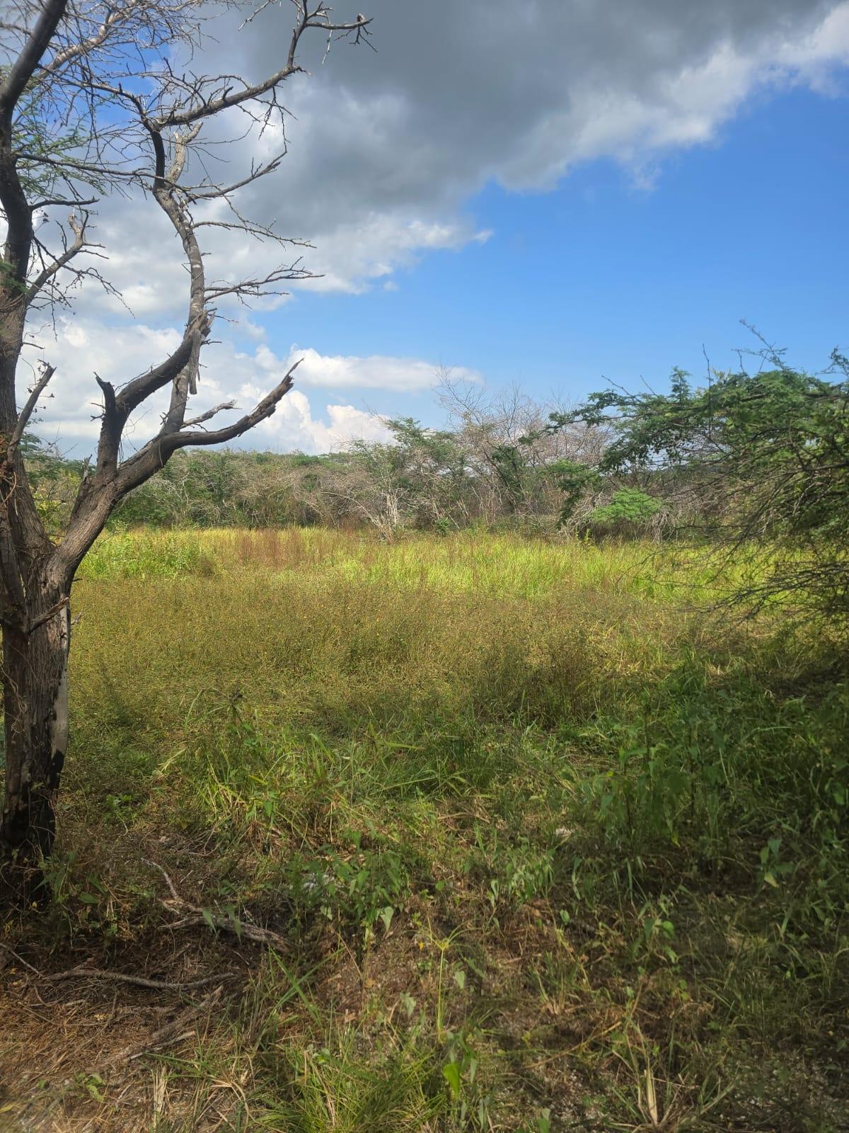 Third image of Lot 160- Creek Street, Hartlands, in Hartlands, St. Catherine, Jamaica - property is For Sale