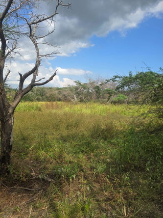 Third image of Lot 160- Creek Street, Hartlands, in Hartlands, St. Catherine, Jamaica - property is For Sale