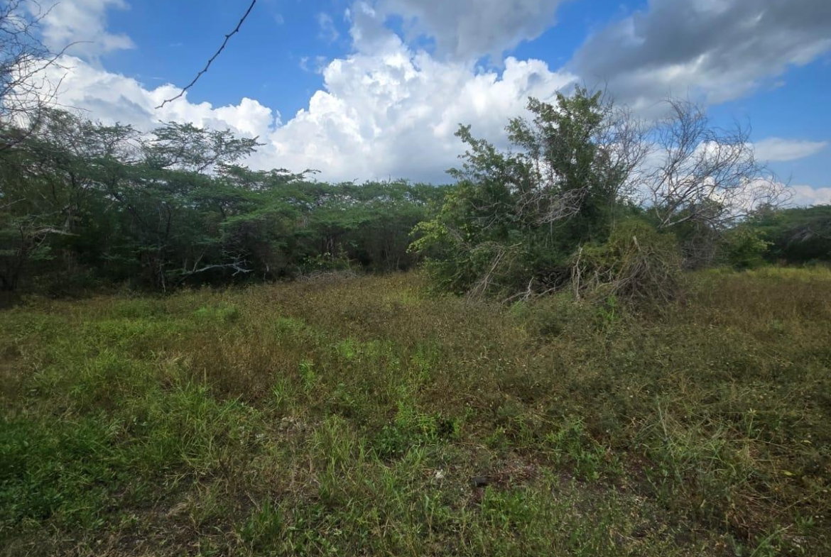 Fourth image of Lot 160- Creek Street, Hartlands, in Hartlands, St. Catherine, Jamaica - property is For Sale