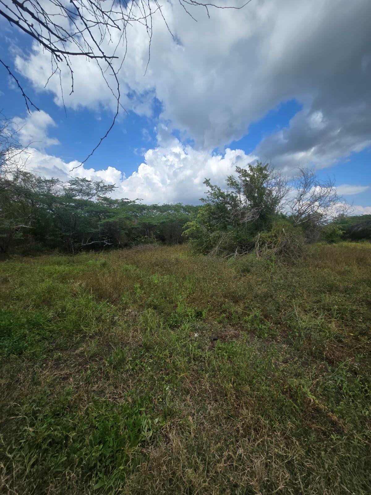 Fourth image of Lot 160- Creek Street, Hartlands, in Hartlands, St. Catherine, Jamaica - property is For Sale