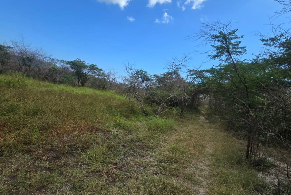 Fifth image of Lot 160- Creek Street, Hartlands, in Hartlands, St. Catherine, Jamaica - property is For Sale