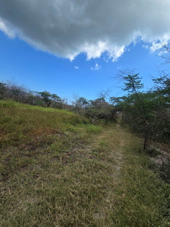 Fifth image of Lot 160- Creek Street, Hartlands, in Hartlands, St. Catherine, Jamaica - property is For Sale