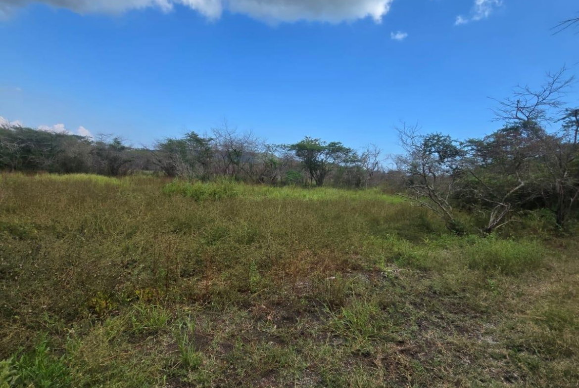 Sixth image of Lot 160- Creek Street, Hartlands, in Hartlands, St. Catherine, Jamaica - property is For Sale