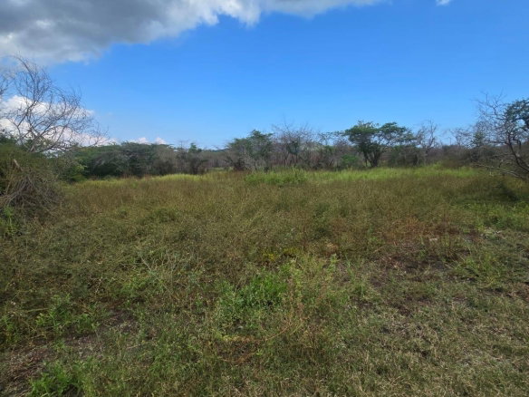 First image of Lot 160- Creek Street, Hartlands, in Hartlands, St. Catherine, Jamaica - property is For Sale