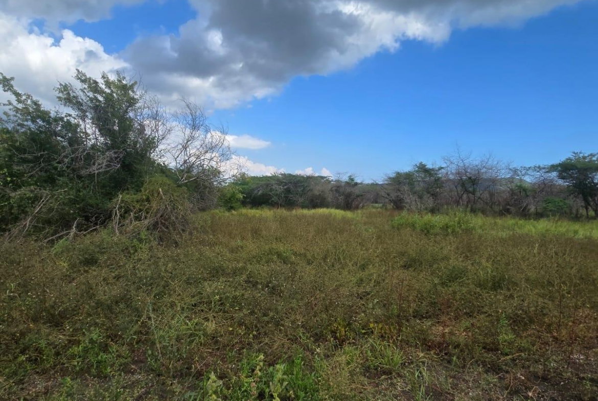 Seventh image of Lot 160- Creek Street, Hartlands, in Hartlands, St. Catherine, Jamaica - property is For Sale