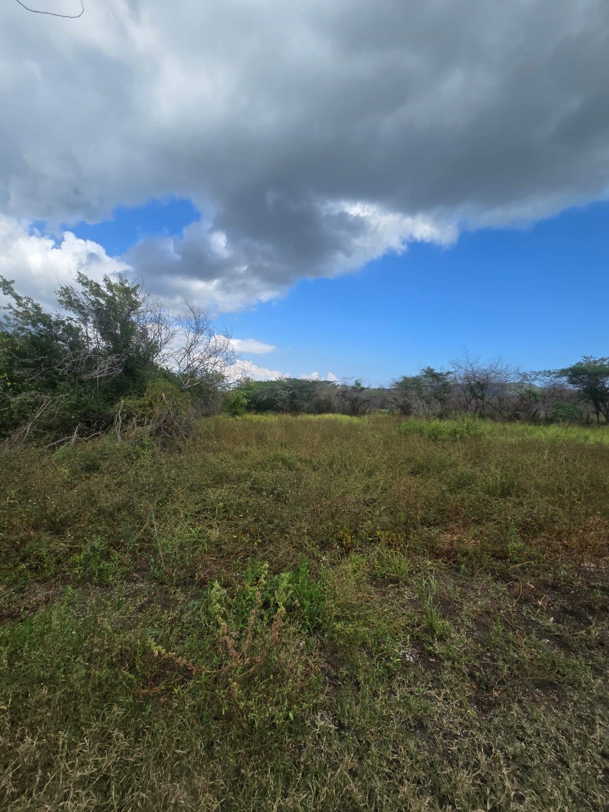 Seventh image of Lot 160- Creek Street, Hartlands, in Hartlands, St. Catherine, Jamaica - property is For Sale