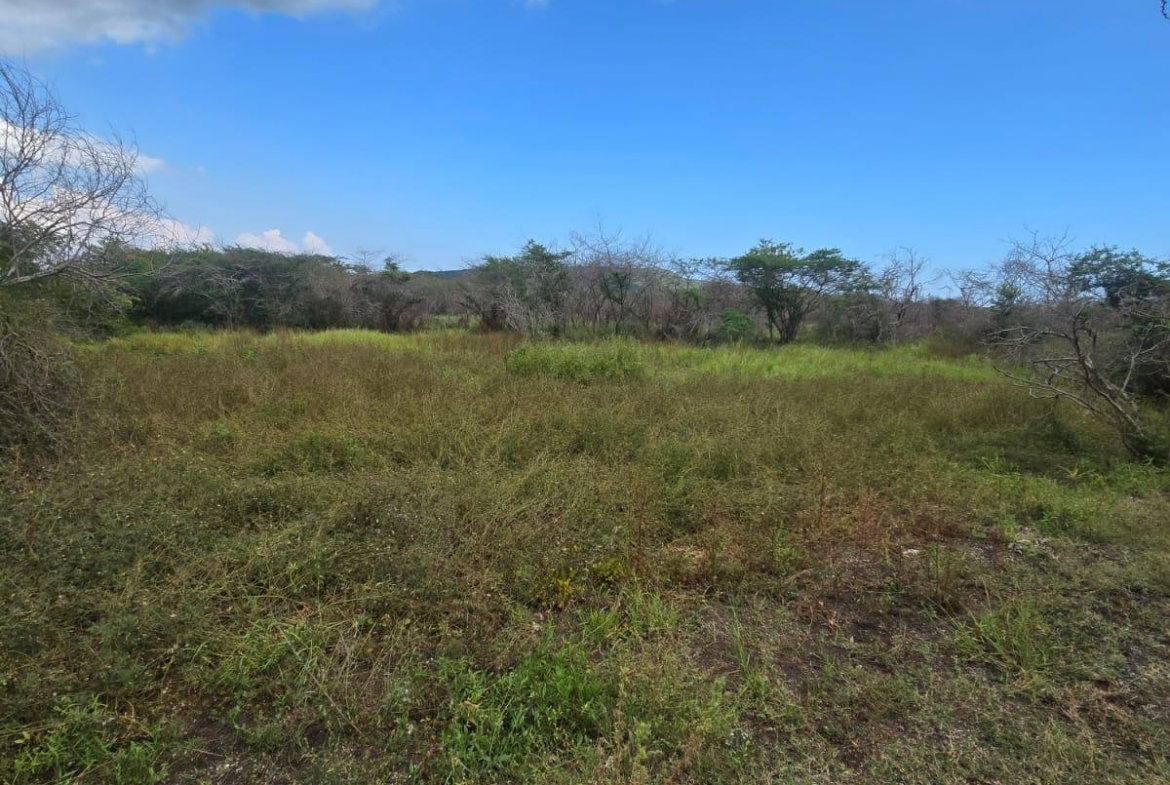Eighth image of Lot 160- Creek Street, Hartlands, in Hartlands, St. Catherine, Jamaica - property is For Sale