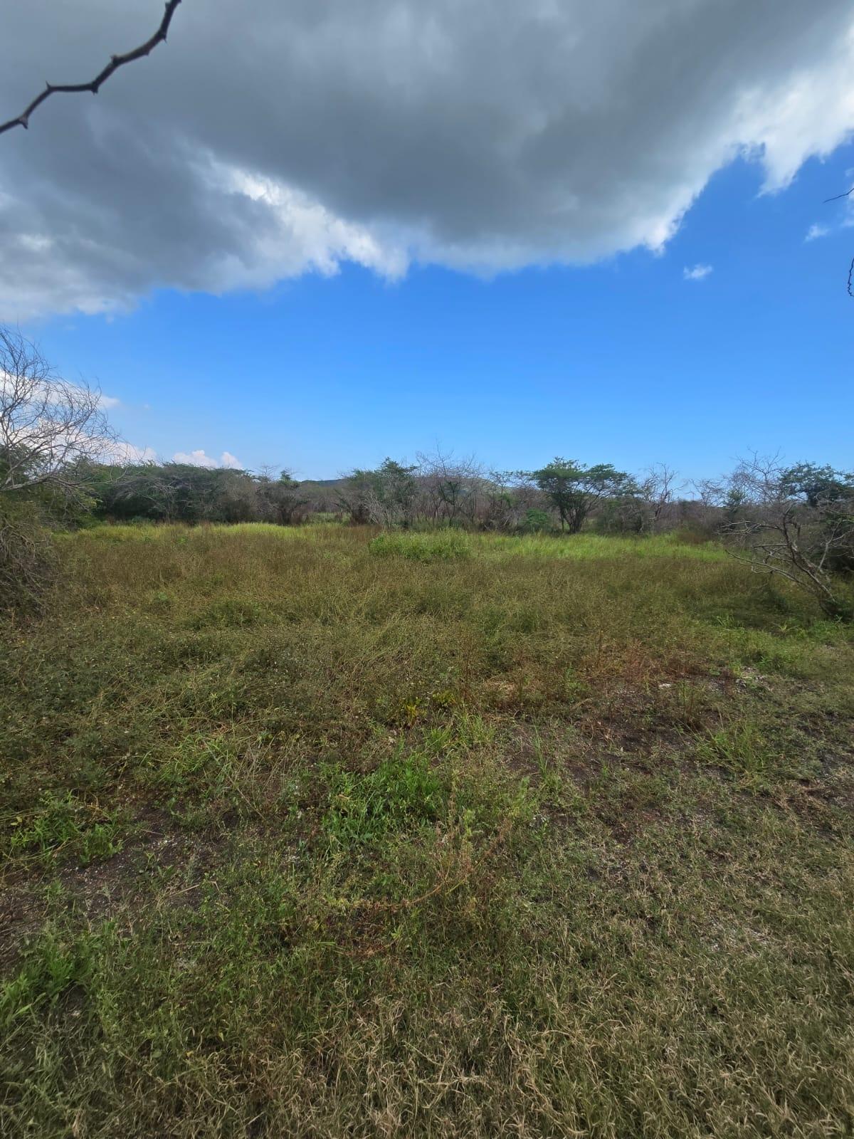 Eighth image of Lot 160- Creek Street, Hartlands, in Hartlands, St. Catherine, Jamaica - property is For Sale