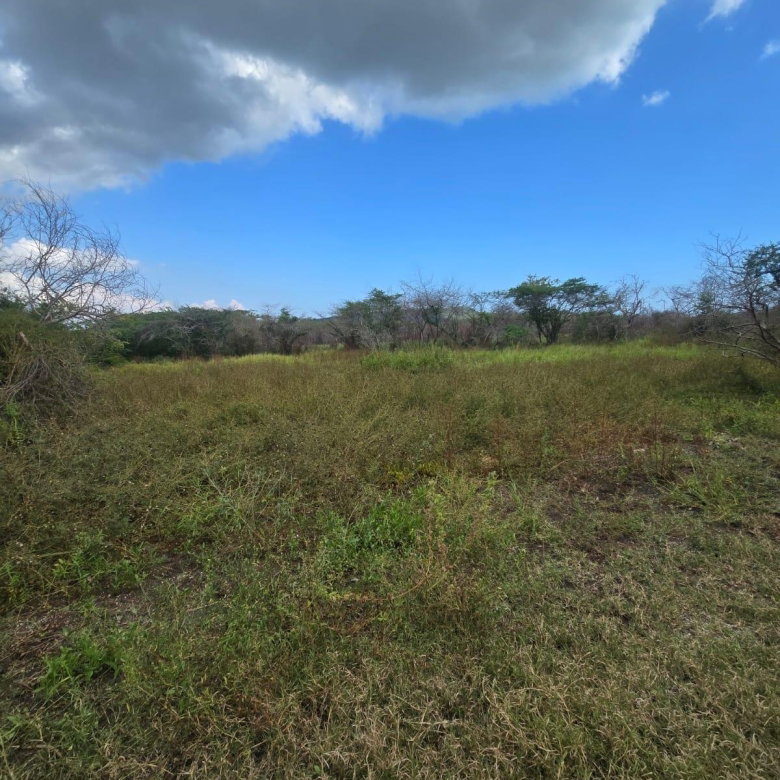 First image of Lot 160- Creek Street, Hartlands, in Hartlands, St. Catherine, Jamaica - property is For Sale