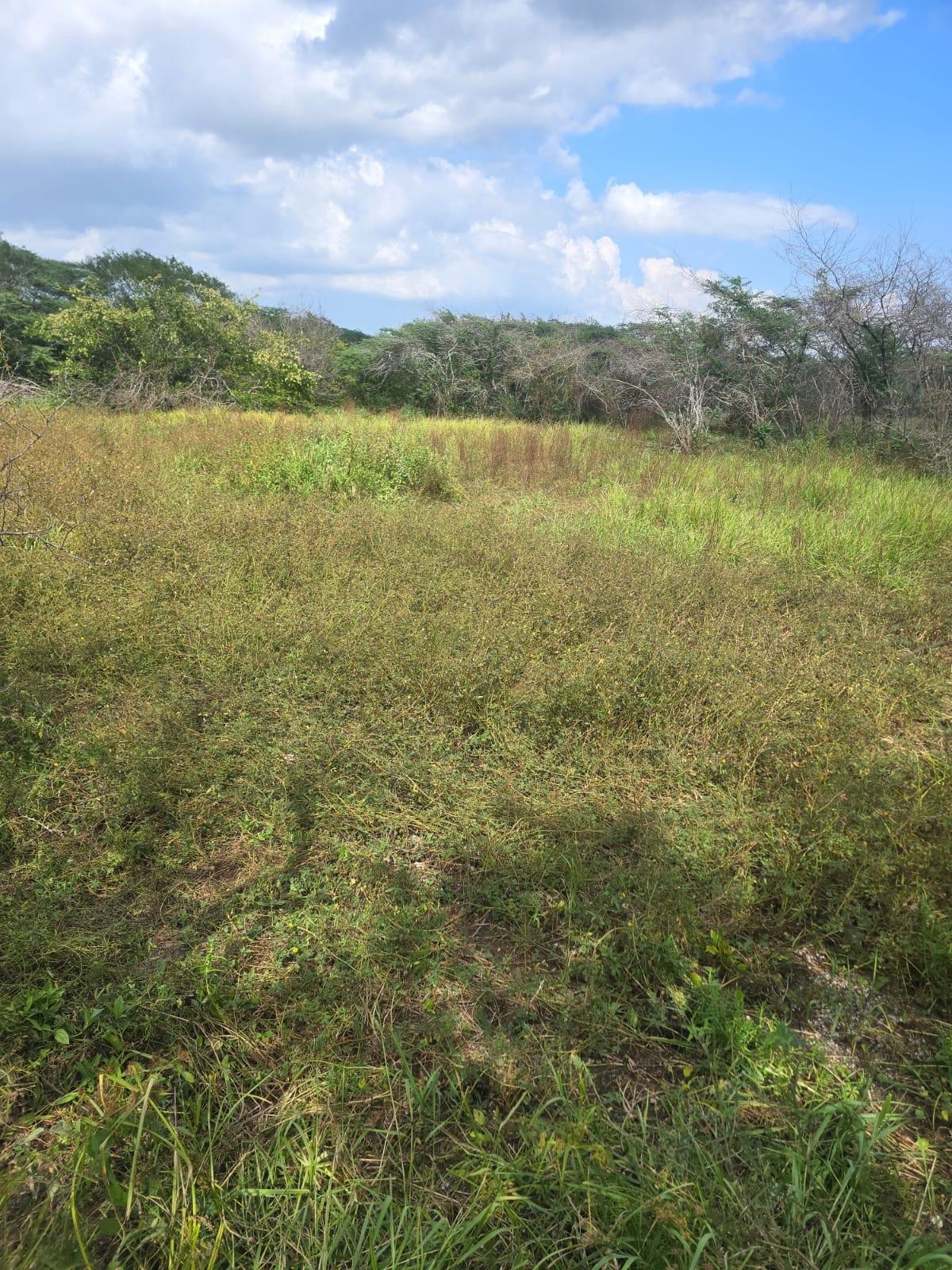 Ninth image of Lot 160- Creek Street, Hartlands, in Hartlands, St. Catherine, Jamaica - property is For Sale