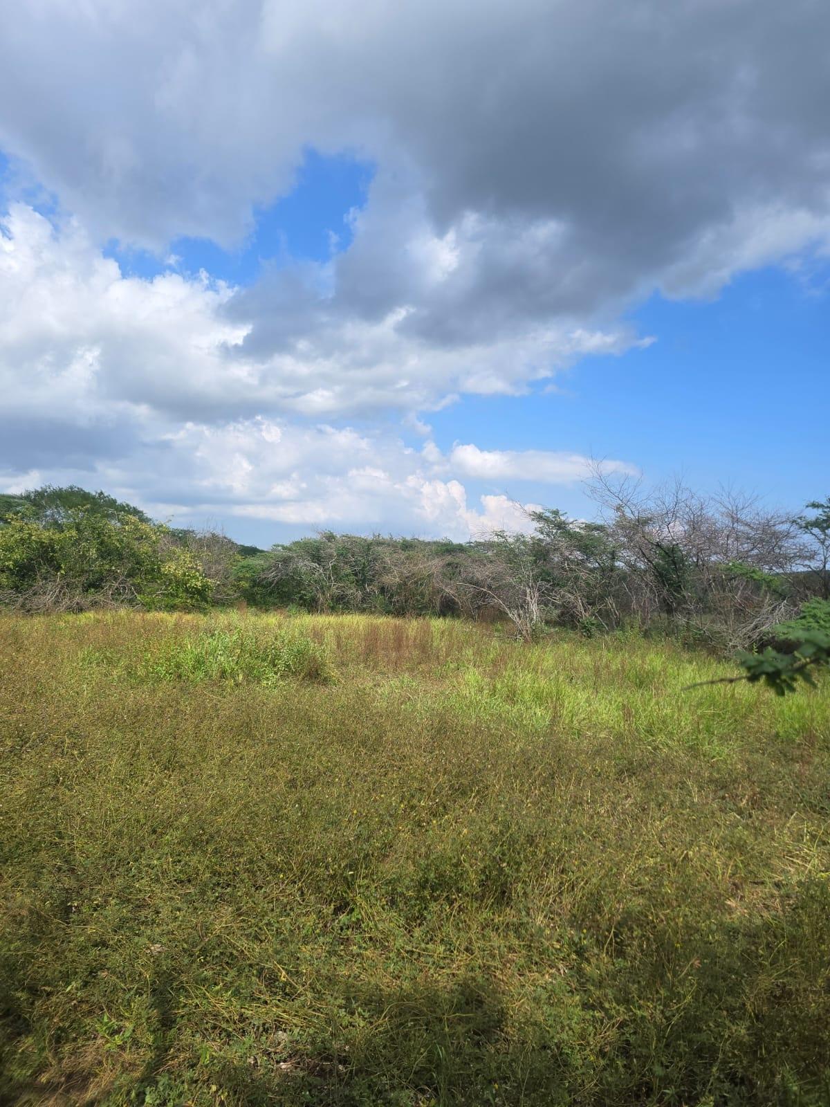 Tenth image of Lot 160- Creek Street, Hartlands, in Hartlands, St. Catherine, Jamaica - property is For Sale
