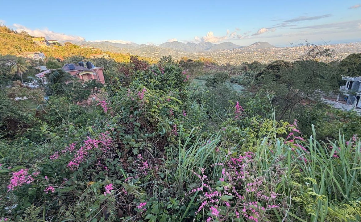 Second image of Green Glebe Mountain, Red in Red Hills, St. Andrew, Jamaica - property is For Sale