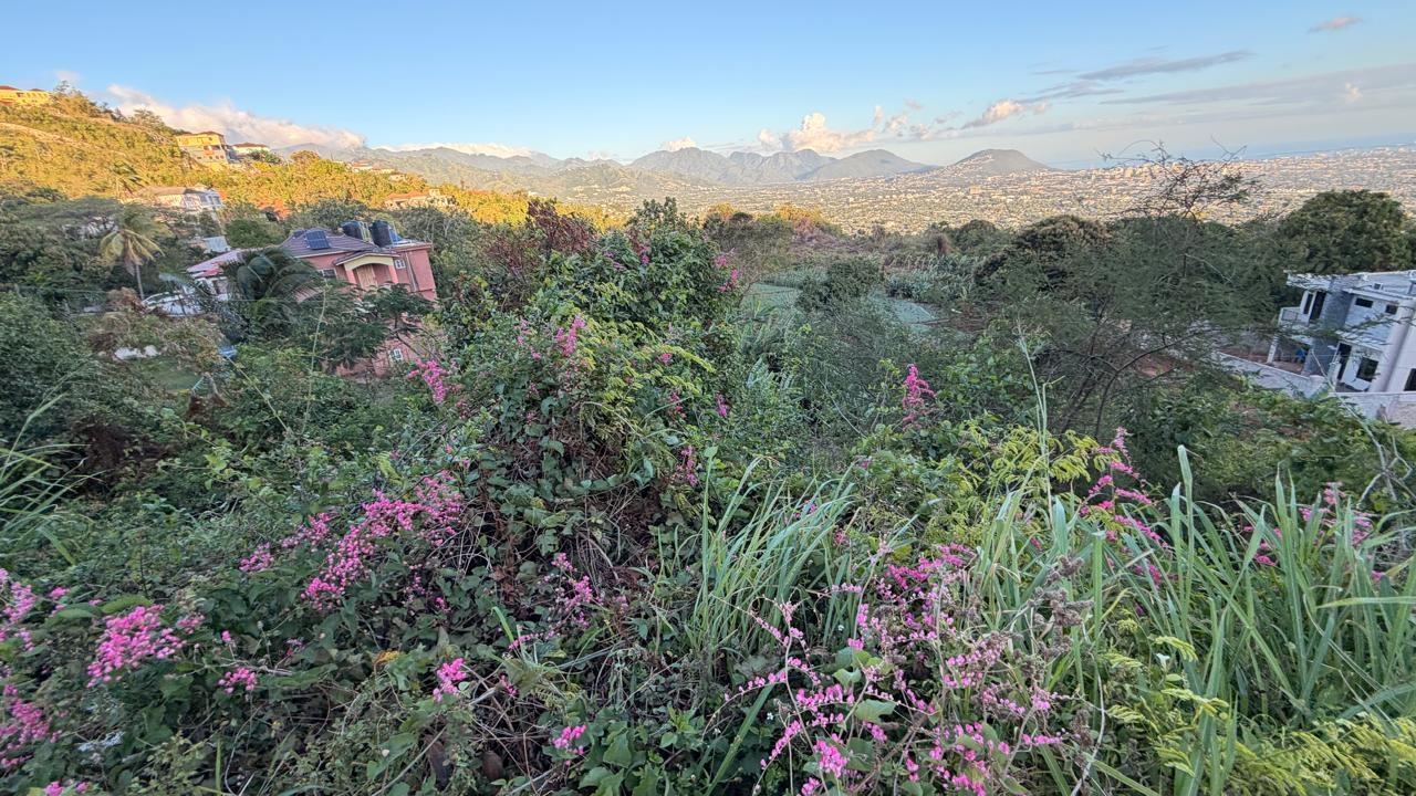 Expansive-Residential-Lot-for-Sale-in-Green-Glebe-Mountain-Red-Hills-St.-Andrew-Jamaica Second image of Green Glebe Mountain, Red in Red Hills, St. Andrew, Jamaica - property is For Sale