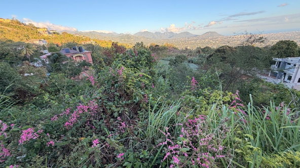 Second image of Green Glebe Mountain, Red in Red Hills, St. Andrew, Jamaica - property is For Sale