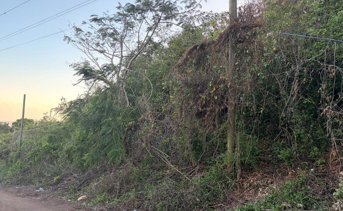 First image of Green Glebe Mountain, Red in Red Hills, St. Andrew, Jamaica - property is For Sale