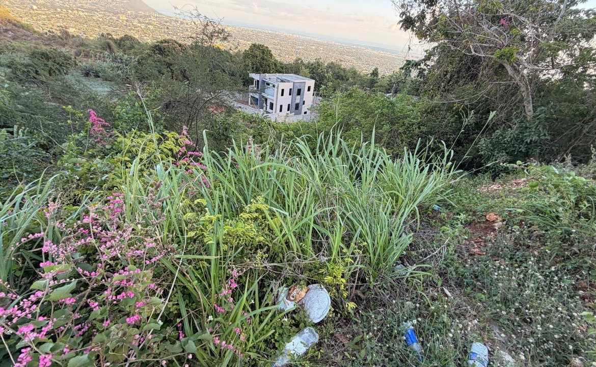 Third image of Green Glebe Mountain, Red in Red Hills, St. Andrew, Jamaica - property is For Sale