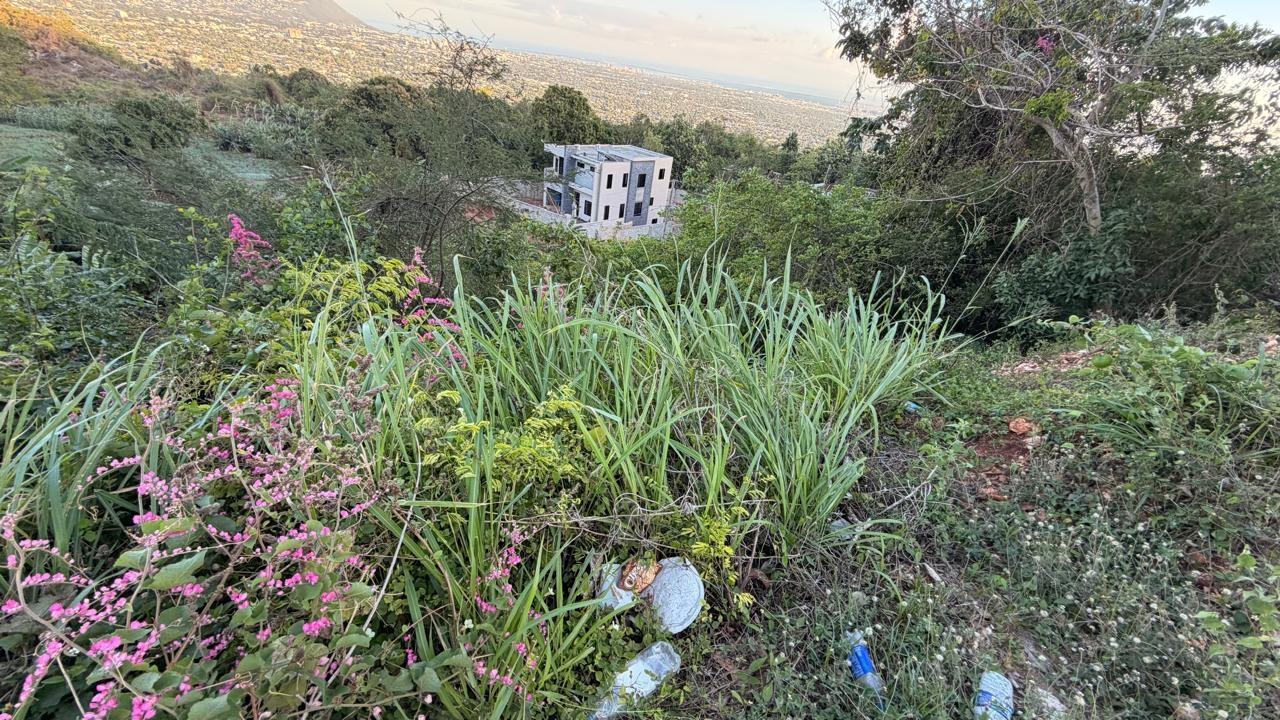 Expansive-Residential-Lot-for-Sale-in-Green-Glebe-Mountain-Red-Hills-St.-Andrew-Jamaica Third image of Green Glebe Mountain, Red in Red Hills, St. Andrew, Jamaica - property is For Sale